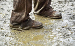 015 - eine andere welt 